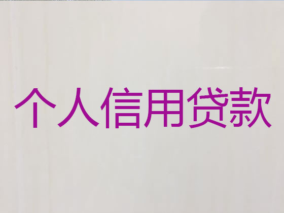 东营抵押贷款公司-信用贷款